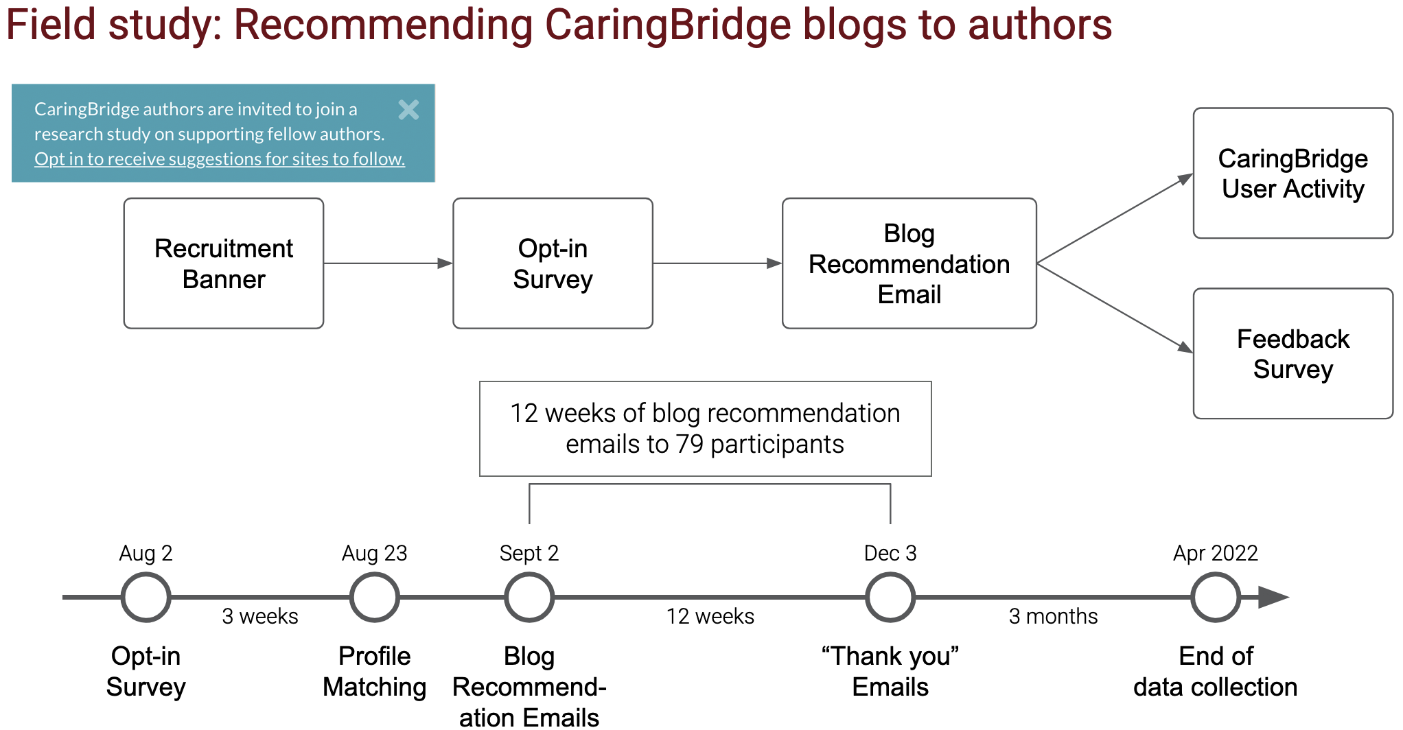 Flowchart showing the progression of the field study.